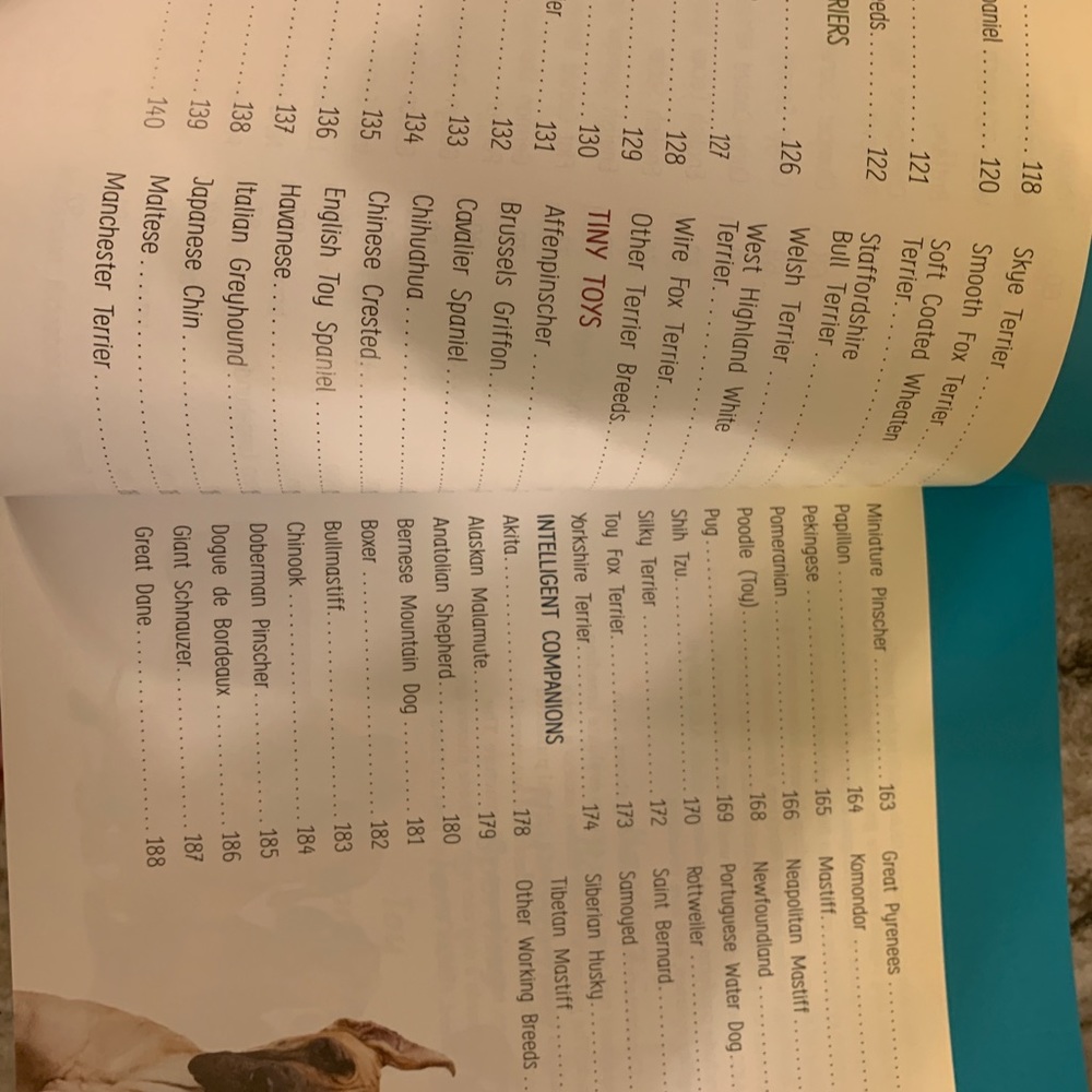 *Dogs encyclopedia book - Picture 9 of 10